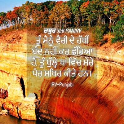 Picture 04 - ਜ਼ਬੂਰ 31:8 PANIRV - ਤੂੰ ਮੈਨੂੰ ਵੈਰੀ ਦੇ - Bible Verse Picture