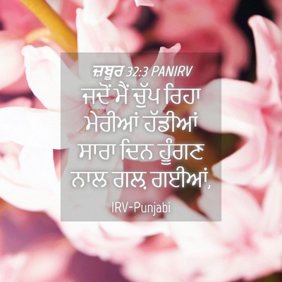 Picture 04 - ਜ਼ਬੂਰ 32:3 PANIRV - ਜਦੋਂ ਮੈਂ ਚੁੱਪ ਰਿਹਾ - Bible Verse Picture