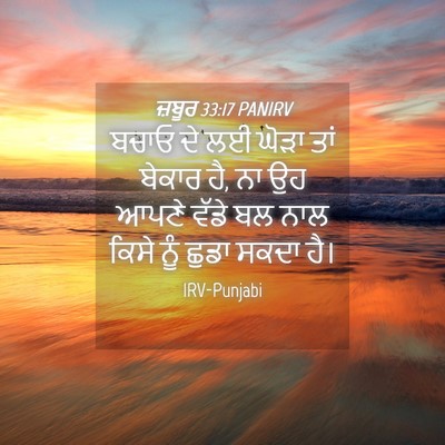 Picture 04 - ਜ਼ਬੂਰ 33:17 PANIRV - ਬਚਾਓ ਦੇ ਲਈ ਘੋੜਾ ਤਾਂ - Bible Verse Picture