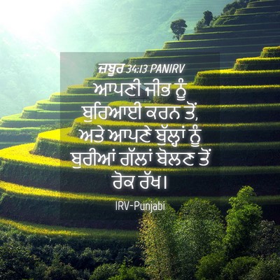 Picture 04 - ਜ਼ਬੂਰ 34:13 PANIRV - ਆਪਣੀ ਜੀਭ ਨੂੰ - Bible Verse Picture