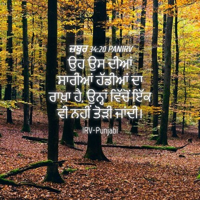 Picture 04 - ਜ਼ਬੂਰ 34:20 PANIRV - ਉਹ ਉਸ ਦੀਆਂ ਸਾਰੀਆਂ - Bible Verse Picture
