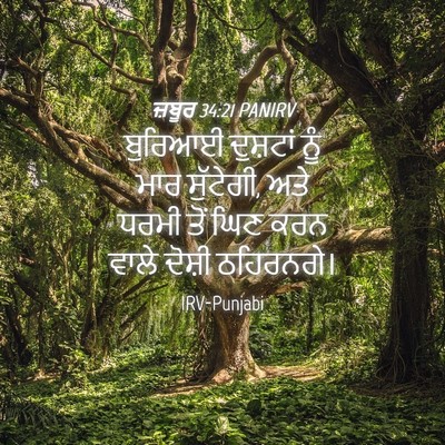 Picture 04 - ਜ਼ਬੂਰ 34:21 PANIRV - ਬੁਰਿਆਈ ਦੁਸ਼ਟਾਂ - Bible Verse Picture