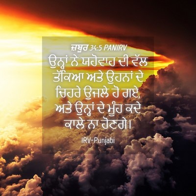 Picture 04 - ਜ਼ਬੂਰ 34:5 PANIRV - ਉਨ੍ਹਾਂ ਨੇ ਯਹੋਵਾਹ - Bible Verse Picture