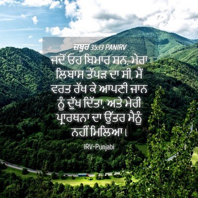 Picture 04 - ਜ਼ਬੂਰ 35:13 PANIRV - ਜਦੋਂ ਓਹ ਬਿਮਾਰ ਸਨ, - Bible Verse Picture