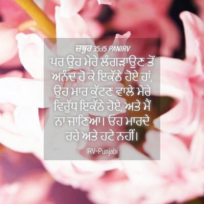 Picture 04 - ਜ਼ਬੂਰ 35:15 PANIRV - ਪਰ ਉਹ ਮੇਰੇ ਲੰਗੜਾਉਣ - Bible Verse Picture