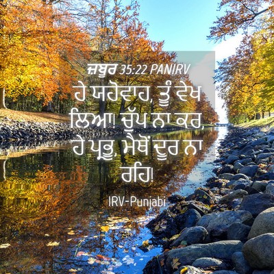 Picture 04 - ਜ਼ਬੂਰ 35:22 PANIRV - ਹੇ ਯਹੋਵਾਹ, ਤੂੰ ਵੇਖ - Bible Verse Picture