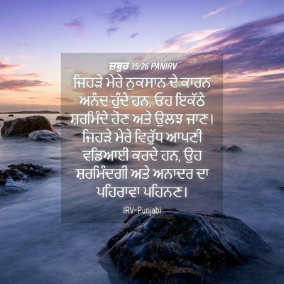 Picture 04 - ਜ਼ਬੂਰ 35:26 PANIRV - ਜਿਹੜੇ ਮੇਰੇ ਨੁਕਸਾਨ - Bible Verse Picture