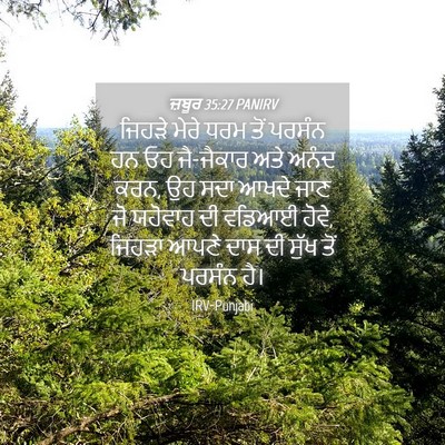 Picture 04 - ਜ਼ਬੂਰ 35:27 PANIRV - ਜਿਹੜੇ ਮੇਰੇ ਧਰਮ ਤੋਂ - Bible Verse Picture