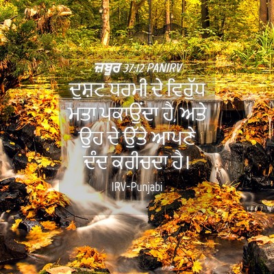 Picture 04 - ਜ਼ਬੂਰ 37:12 PANIRV - ਦੁਸ਼ਟ ਧਰਮੀ ਦੇ - Bible Verse Picture
