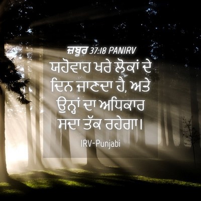 Picture 04 - ਜ਼ਬੂਰ 37:18 PANIRV - ਯਹੋਵਾਹ ਖਰੇ ਲੋਕਾਂ - Bible Verse Picture