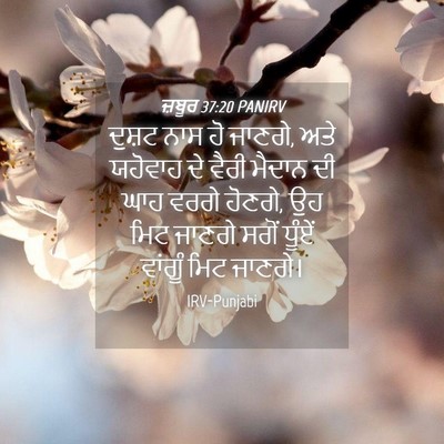 Picture 04 - ਜ਼ਬੂਰ 37:20 PANIRV - ਦੁਸ਼ਟ ਨਾਸ ਹੋ ਜਾਣਗੇ, - Bible Verse Picture