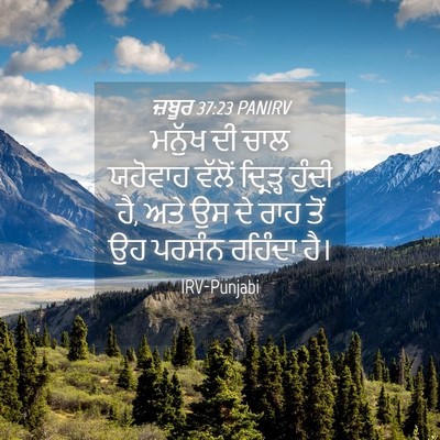 Picture 04 - ਜ਼ਬੂਰ 37:23 PANIRV - ਮਨੁੱਖ ਦੀ ਚਾਲ - Bible Verse Picture