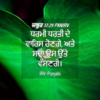 Picture 04 - ਜ਼ਬੂਰ 37:29 PANIRV - ਧਰਮੀ ਧਰਤੀ ਦੇ ਵਾਰਿਸ - Bible Verse Picture