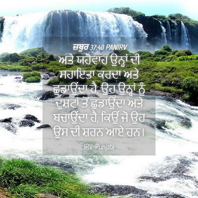 Picture 04 - ਜ਼ਬੂਰ 37:40 PANIRV - ਅਤੇ ਯਹੋਵਾਹ ਉਨ੍ਹਾਂ - Bible Verse Picture