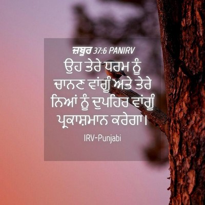 Picture 04 - ਜ਼ਬੂਰ 37:6 PANIRV - ਉਹ ਤੇਰੇ ਧਰਮ ਨੂੰ - Bible Verse Picture