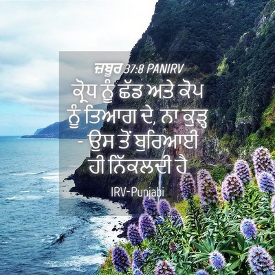 Picture 04 - ਜ਼ਬੂਰ 37:8 PANIRV - ਕ੍ਰੋਧ ਨੂੰ ਛੱਡ ਅਤੇ - Bible Verse Picture