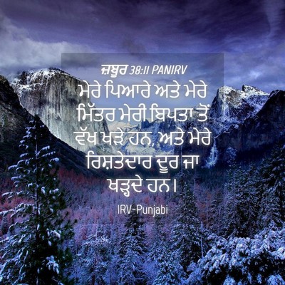 Picture 04 - ਜ਼ਬੂਰ 38:11 PANIRV - ਮੇਰੇ ਪਿਆਰੇ ਅਤੇ - Bible Verse Picture