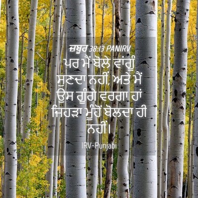 Picture 04 - ਜ਼ਬੂਰ 38:13 PANIRV - ਪਰ ਮੈਂ ਬੋਲੇ ਵਾਂਗੂੰ - Bible Verse Picture