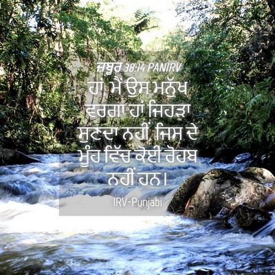 Picture 04 - ਜ਼ਬੂਰ 38:14 PANIRV - ਹਾਂ, ਮੈਂ ਉਸ ਮਨੁੱਖ - Bible Verse Picture