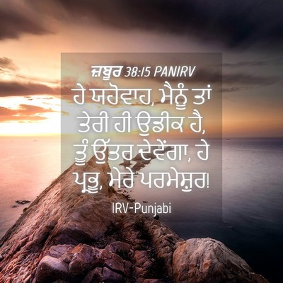 Picture 04 - ਜ਼ਬੂਰ 38:15 PANIRV - ਹੇ ਯਹੋਵਾਹ, ਮੈਨੂੰ - Bible Verse Picture