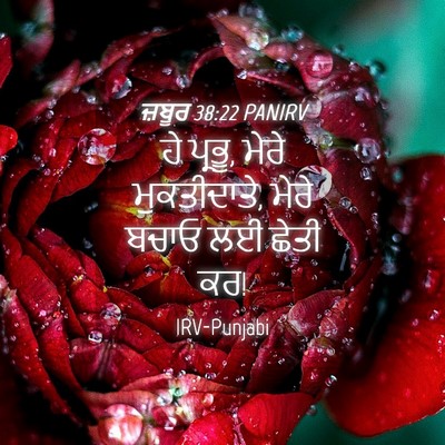 Picture 04 - ਜ਼ਬੂਰ 38:22 PANIRV - ਹੇ ਪ੍ਰਭੂ, ਮੇਰੇ - Bible Verse Picture