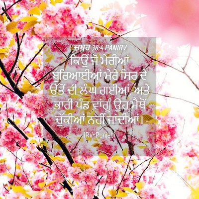 Picture 04 - ਜ਼ਬੂਰ 38:4 PANIRV - ਕਿਉਂ ਜੋ ਮੇਰੀਆਂ - Bible Verse Picture
