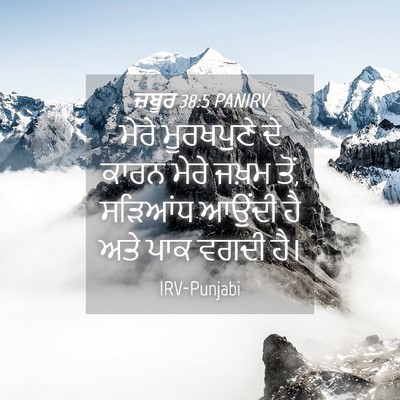 Picture 04 - ਜ਼ਬੂਰ 38:5 PANIRV - ਮੇਰੇ ਮੂਰਖਪੁਣੇ ਦੇ - Bible Verse Picture