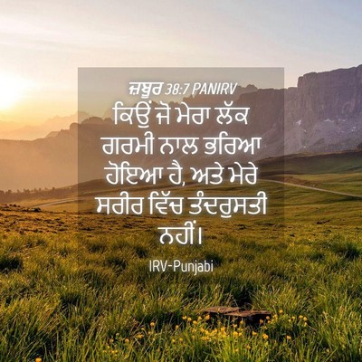 Picture 04 - ਜ਼ਬੂਰ 38:7 PANIRV - ਕਿਉਂ ਜੋ ਮੇਰਾ ਲੱਕ - Bible Verse Picture