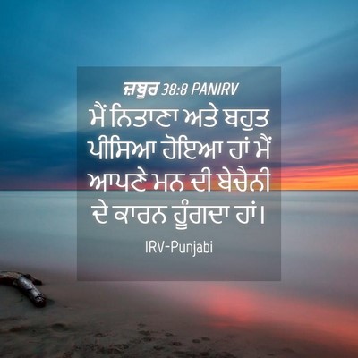 Picture 04 - ਜ਼ਬੂਰ 38:8 PANIRV - ਮੈਂ ਨਿਤਾਣਾ ਅਤੇ - Bible Verse Picture