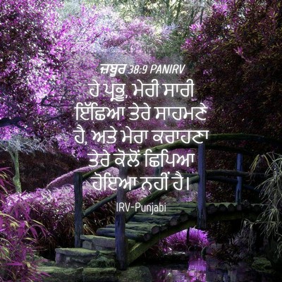 Picture 04 - ਜ਼ਬੂਰ 38:9 PANIRV - ਹੇ ਪ੍ਰਭੂ, ਮੇਰੀ ਸਾਰੀ - Bible Verse Picture