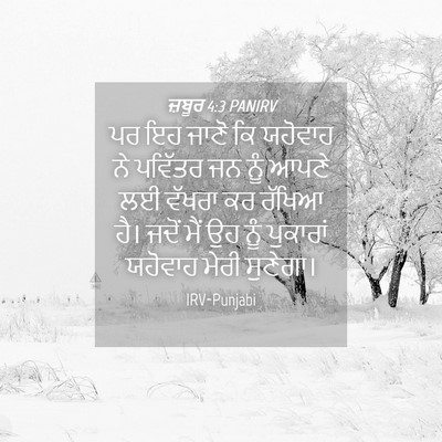 Picture 04 - ਜ਼ਬੂਰ 4:3 PANIRV - ਪਰ ਇਹ ਜਾਣੋ ਕਿ - Bible Verse Picture