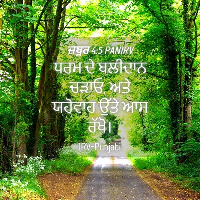 Picture 04 - ਜ਼ਬੂਰ 4:5 PANIRV - ਧਰਮ ਦੇ ਬਲੀਦਾਨ ਚੜਾਓ, - Bible Verse Picture