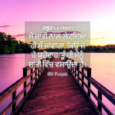 Picture 04 - ਜ਼ਬੂਰ 4:8 PANIRV - ਮੈਂ ਸ਼ਾਂਤੀ ਨਾਲ - Bible Verse Picture