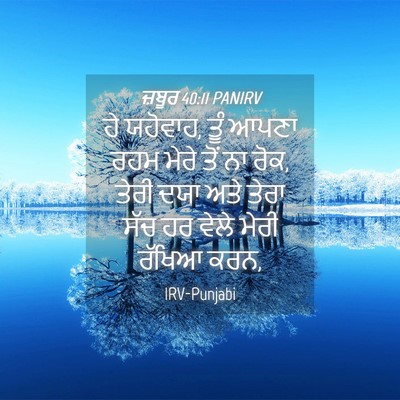 Picture 04 - ਜ਼ਬੂਰ 40:11 PANIRV - ਹੇ ਯਹੋਵਾਹ, ਤੂੰ ਆਪਣਾ - Bible Verse Picture