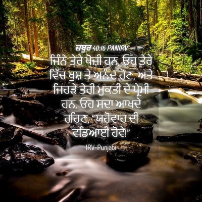 Picture 04 - ਜ਼ਬੂਰ 40:16 PANIRV - ਜਿੰਨੇ ਤੇਰੇ ਖੋਜ਼ੀ - Bible Verse Picture
