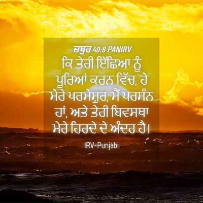 Picture 04 - ਜ਼ਬੂਰ 40:8 PANIRV - ਕਿ ਤੇਰੀ ਇੱਛਿਆ ਨੂੰ - Bible Verse Picture