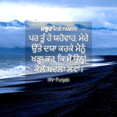 Picture 04 - ਜ਼ਬੂਰ 41:10 PANIRV - ਪਰ ਤੂੰ ਹੇ ਯਹੋਵਾਹ, - Bible Verse Picture