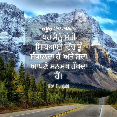 Picture 04 - ਜ਼ਬੂਰ 41:12 PANIRV - ਪਰ ਮੈਨੂੰ ਮੇਰੀ - Bible Verse Picture