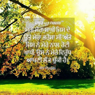 Picture 04 - ਜ਼ਬੂਰ 41:9 PANIRV - ਸਗੋਂ ਮੇਰਾ ਸਾਥੀ ਜਿਸ - Bible Verse Picture