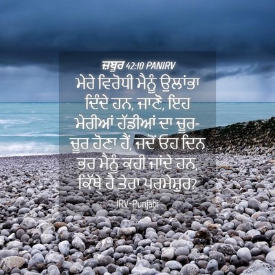 Picture 04 - ਜ਼ਬੂਰ 42:10 PANIRV - ਮੇਰੇ ਵਿਰੋਧੀ ਮੈਨੂੰ - Bible Verse Picture