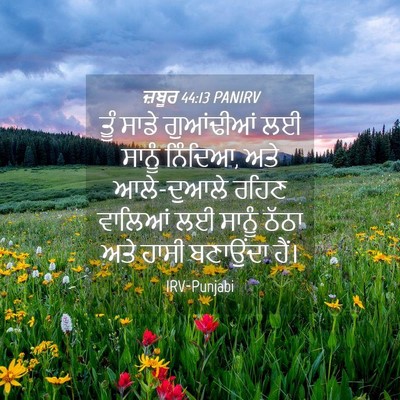 Picture 04 - ਜ਼ਬੂਰ 44:13 PANIRV - ਤੂੰ ਸਾਡੇ ਗੁਆਂਢੀਆਂ - Bible Verse Picture