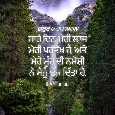 Picture 04 - ਜ਼ਬੂਰ 44:15 PANIRV - ਸਾਰੇ ਦਿਨ ਮੇਰੀ ਲਾਜ - Bible Verse Picture