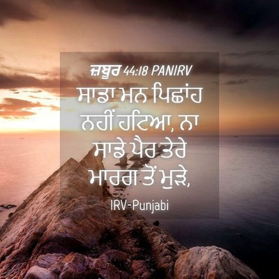 Picture 04 - ਜ਼ਬੂਰ 44:18 PANIRV - ਸਾਡਾ ਮਨ ਪਿਛਾਂਹ - Bible Verse Picture