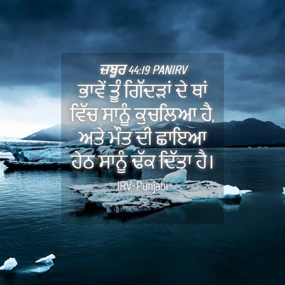 Picture 04 - ਜ਼ਬੂਰ 44:19 PANIRV - ਭਾਵੇਂ ਤੂੰ ਗਿੱਦੜਾਂ - Bible Verse Picture