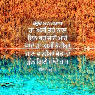 Picture 04 - ਜ਼ਬੂਰ 44:22 PANIRV - ਹਾਂ, ਅਸੀਂ ਤੇਰੇ ਨਾਲ - Bible Verse Picture