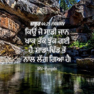 Picture 04 - ਜ਼ਬੂਰ 44:25 PANIRV - ਕਿਉਂ ਜੋ ਸਾਡੀ ਜਾਨ - Bible Verse Picture