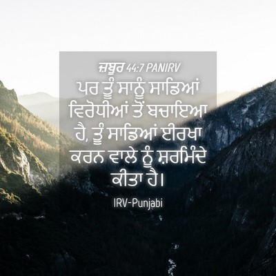 Picture 04 - ਜ਼ਬੂਰ 44:7 PANIRV - ਪਰ ਤੂੰ ਸਾਨੂੰ - Bible Verse Picture