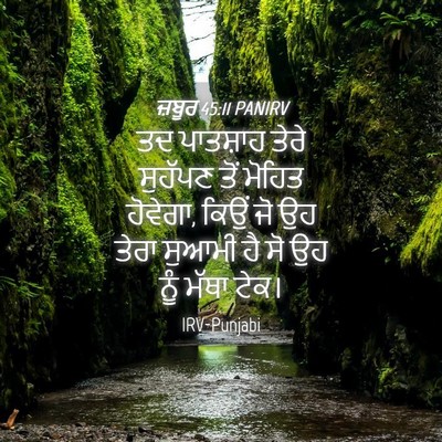 Picture 04 - ਜ਼ਬੂਰ 45:11 PANIRV - ਤਦ ਪਾਤਸ਼ਾਹ ਤੇਰੇ - Bible Verse Picture