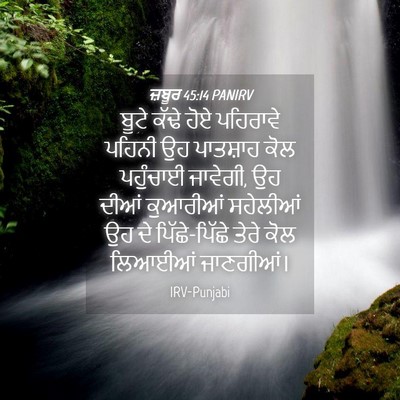 Picture 04 - ਜ਼ਬੂਰ 45:14 PANIRV - ਬੂਟੇ ਕੱਢੇ ਹੋਏ - Bible Verse Picture