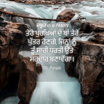 Picture 04 - ਜ਼ਬੂਰ 45:16 PANIRV - ਤੇਰੇ ਪੁਰਖਿਆਂ ਦੇ - Bible Verse Picture